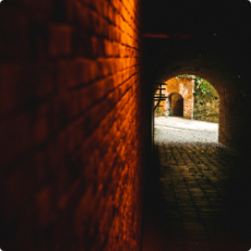 無人島 猿島 公式 Tryangle Web Yokosuka軍港めぐり 無人島 猿島 ヨコスカbbq のトライアングル